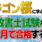 【無駄な勉強し過ぎです】30代開業行政書士が、最短で結果を出すための勉強法について徹底解説！